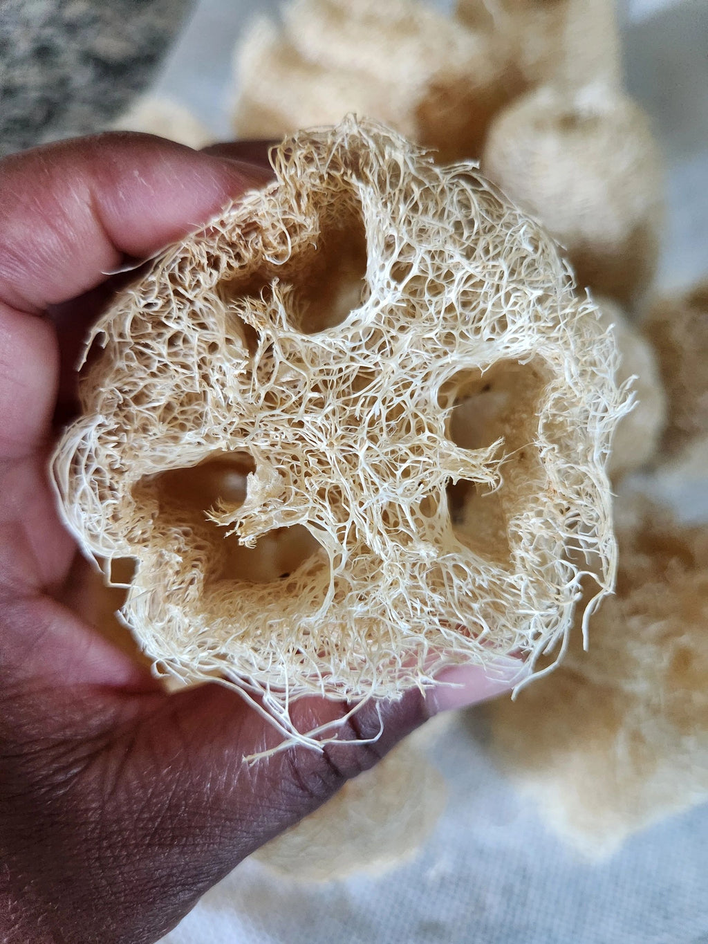 Cut Luffa