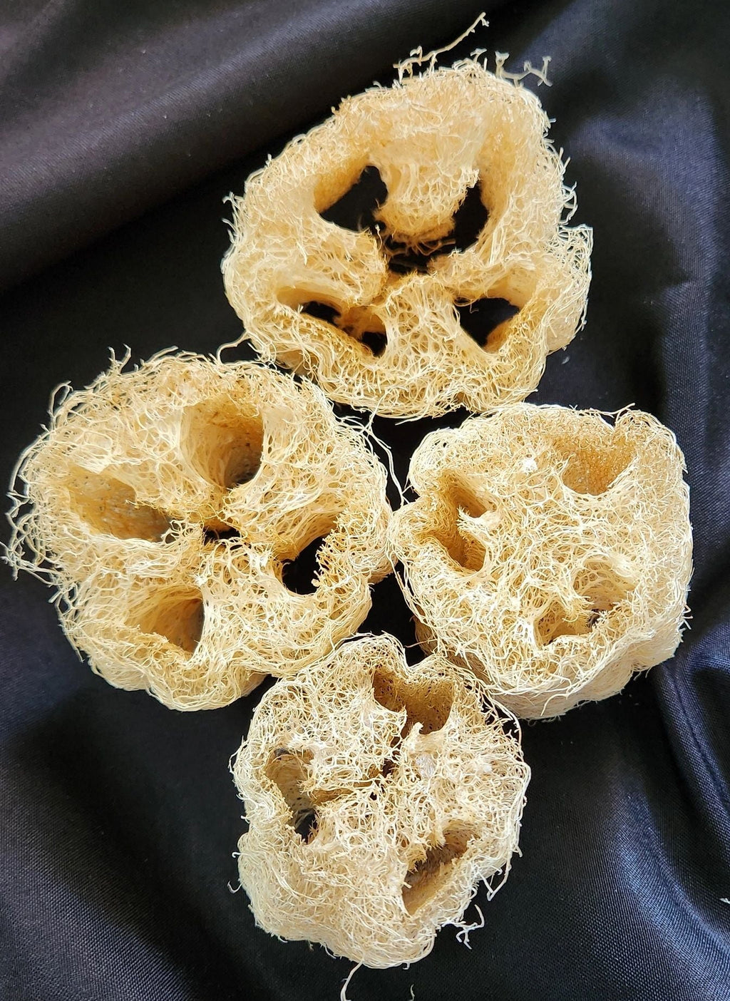 Cut Luffa