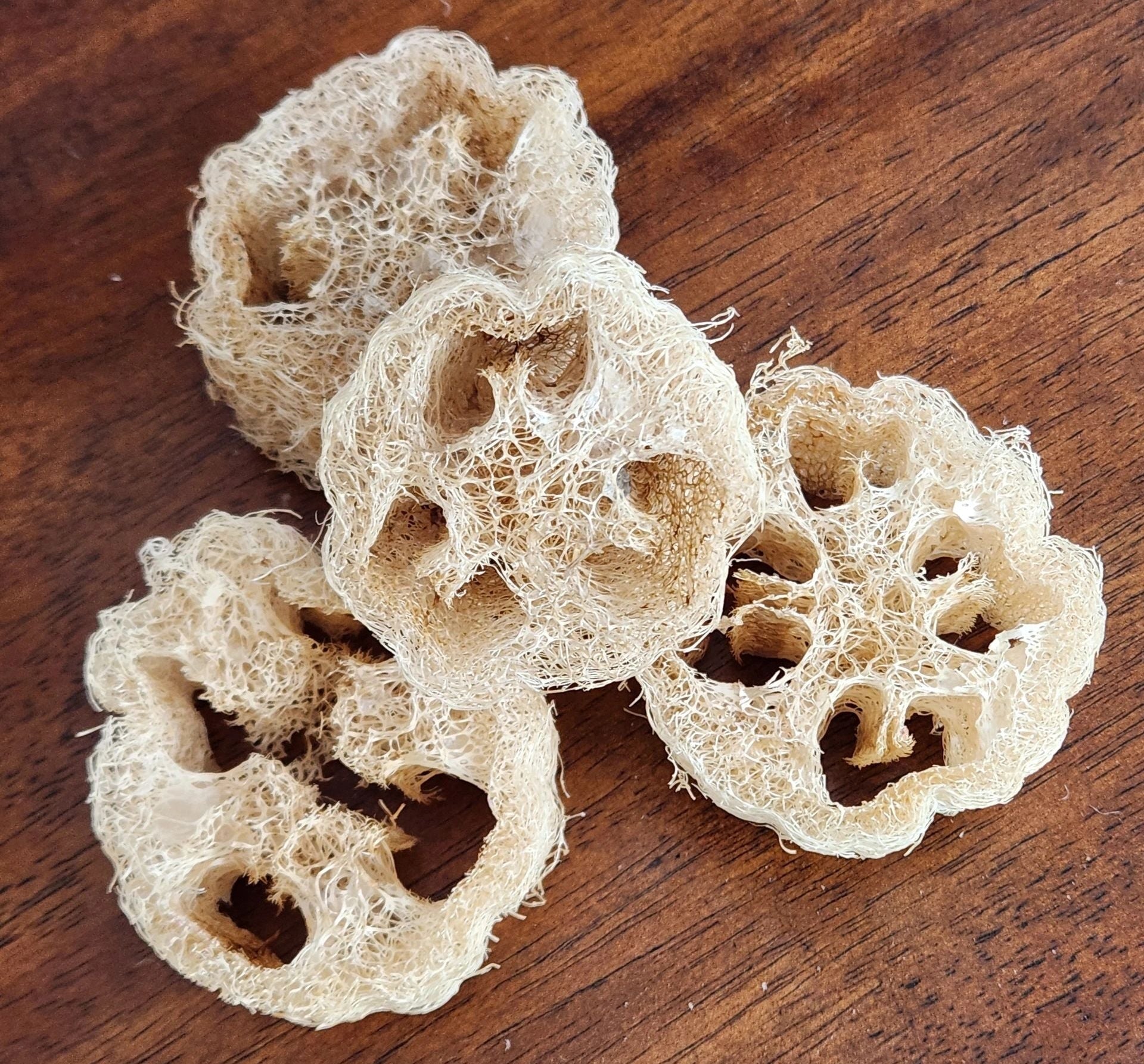 Cut Luffa