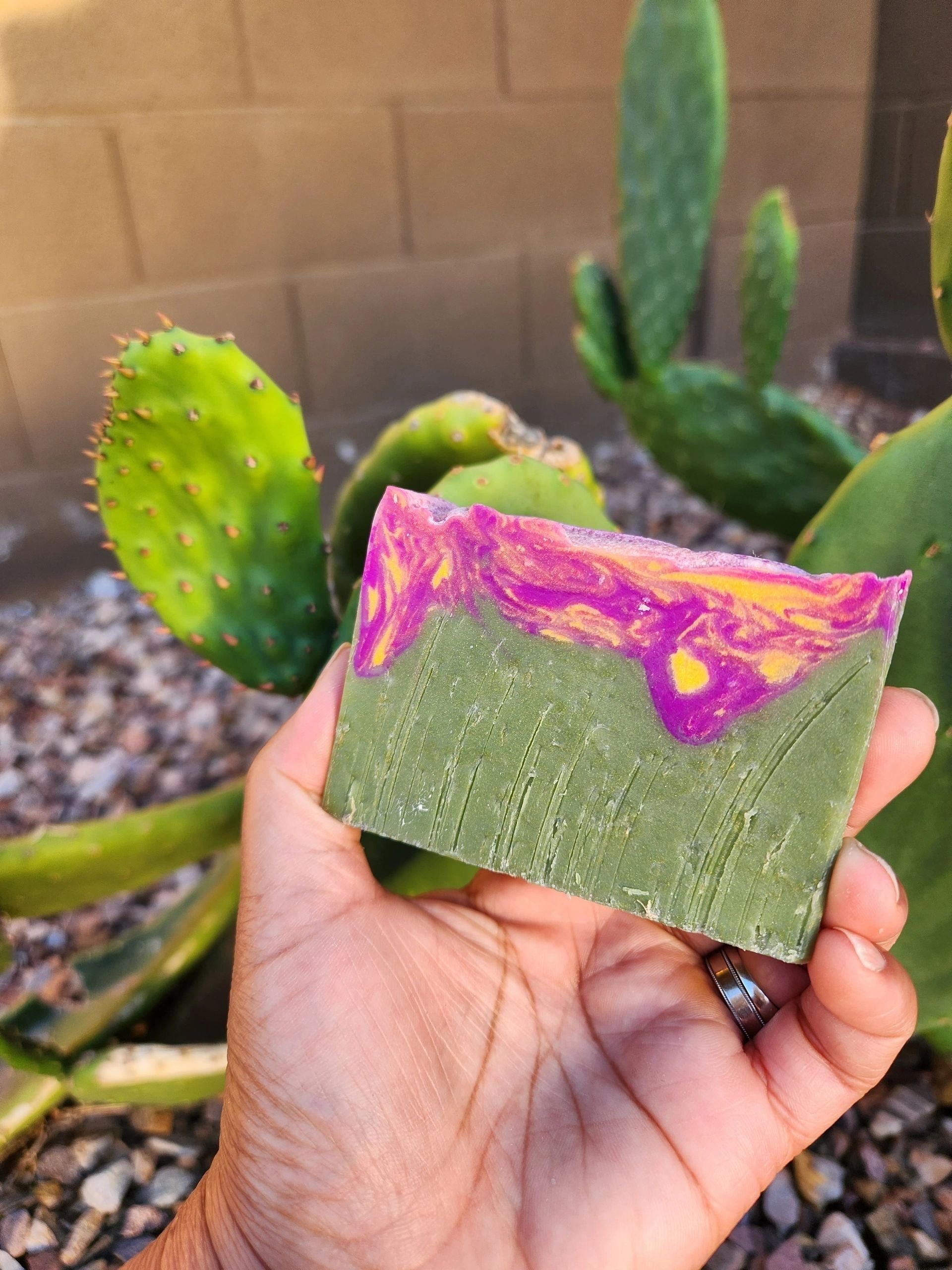 Cactus Blossom