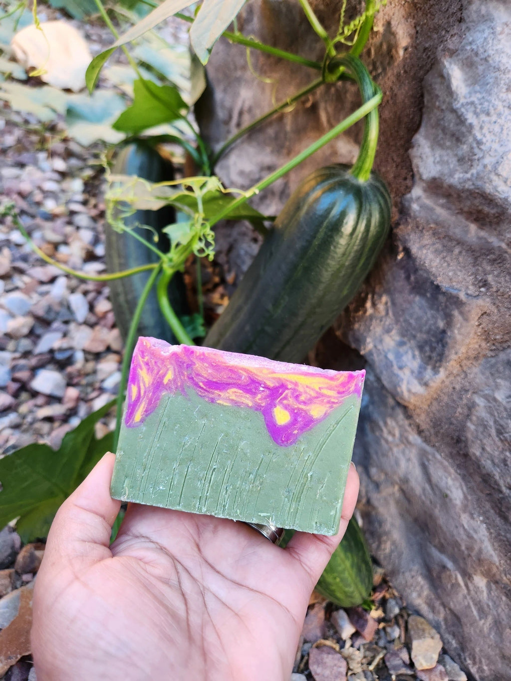 Cactus Blossom