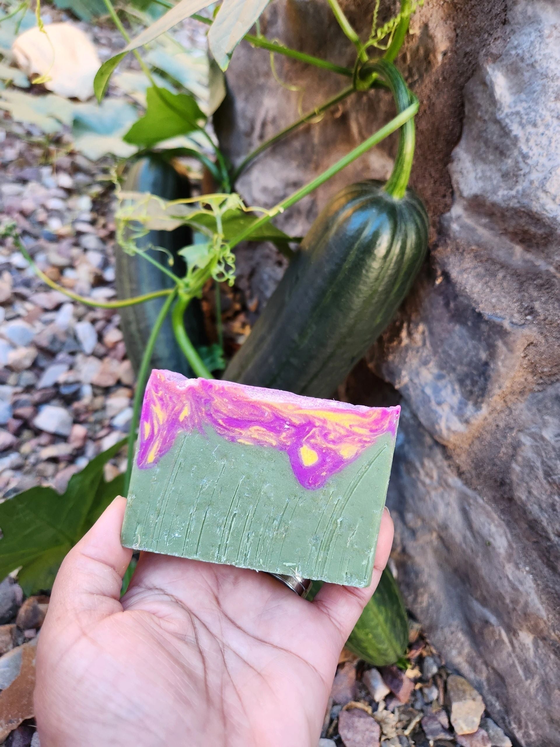 Cactus Blossom